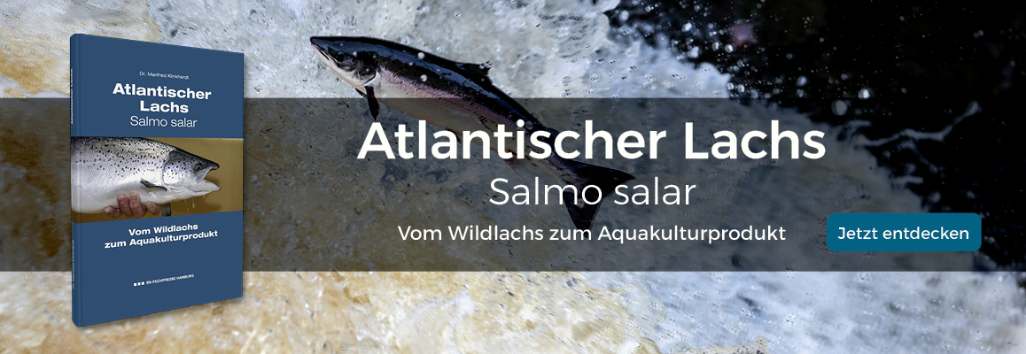 Atlantischer Lachs Buch